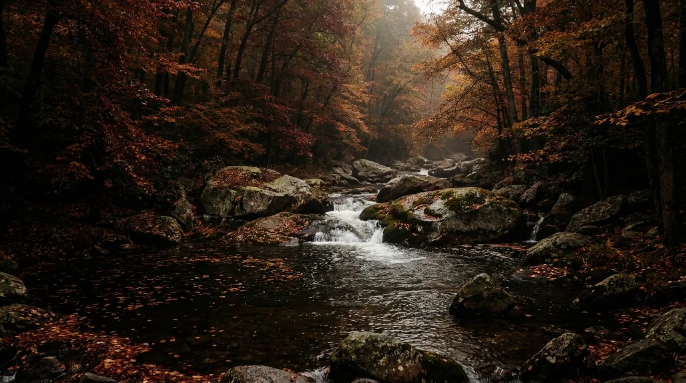 Fly fishing water in Connecticut