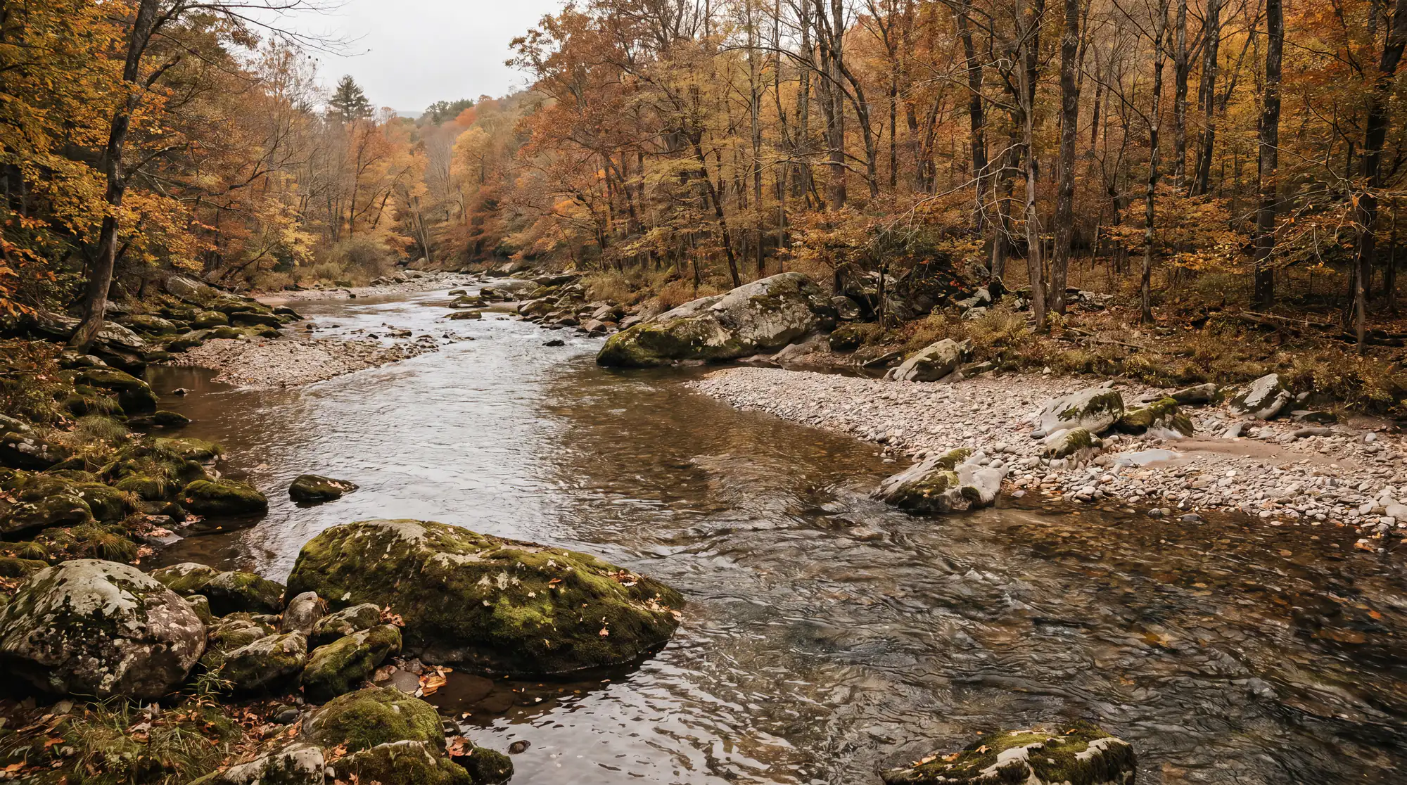 Fly fishing water in New York