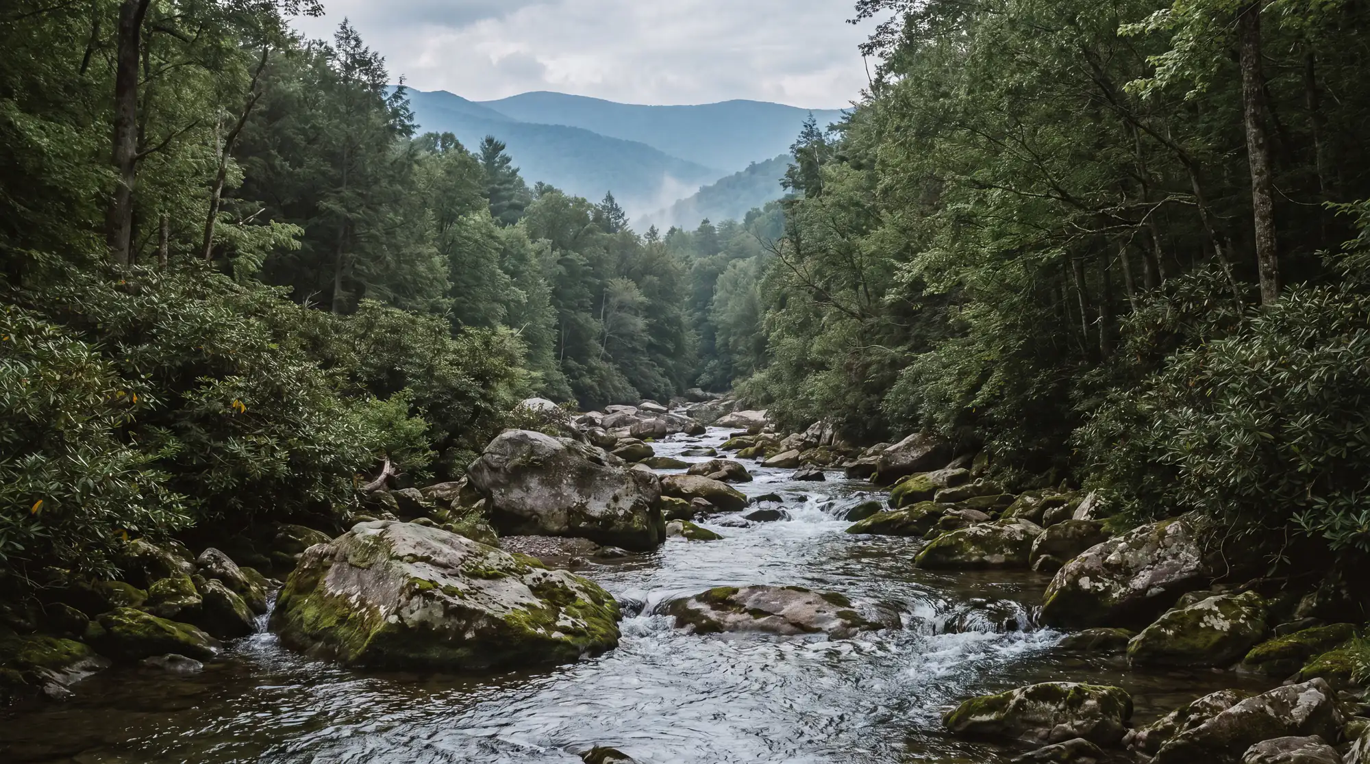 Fly fishing water in North Carolina