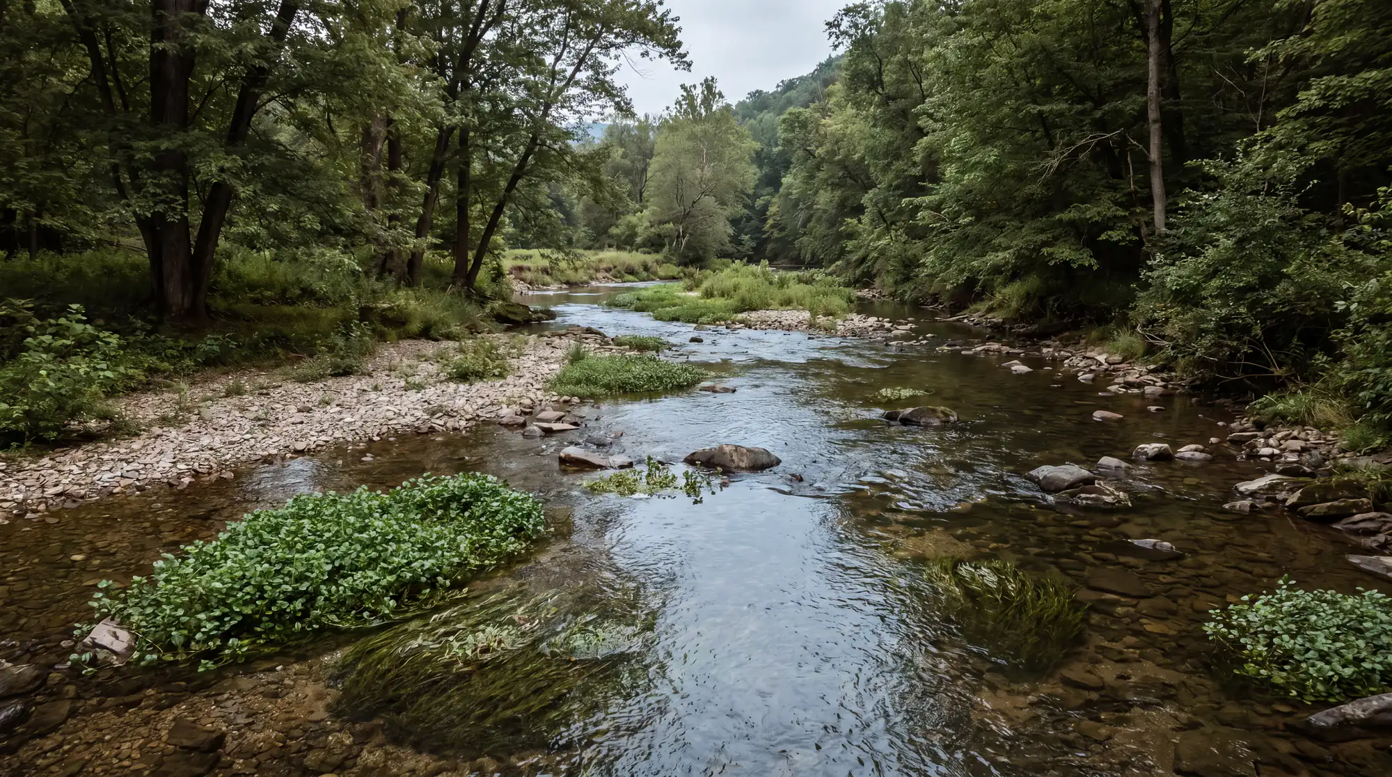 Fly fishing water in Pennsylvania