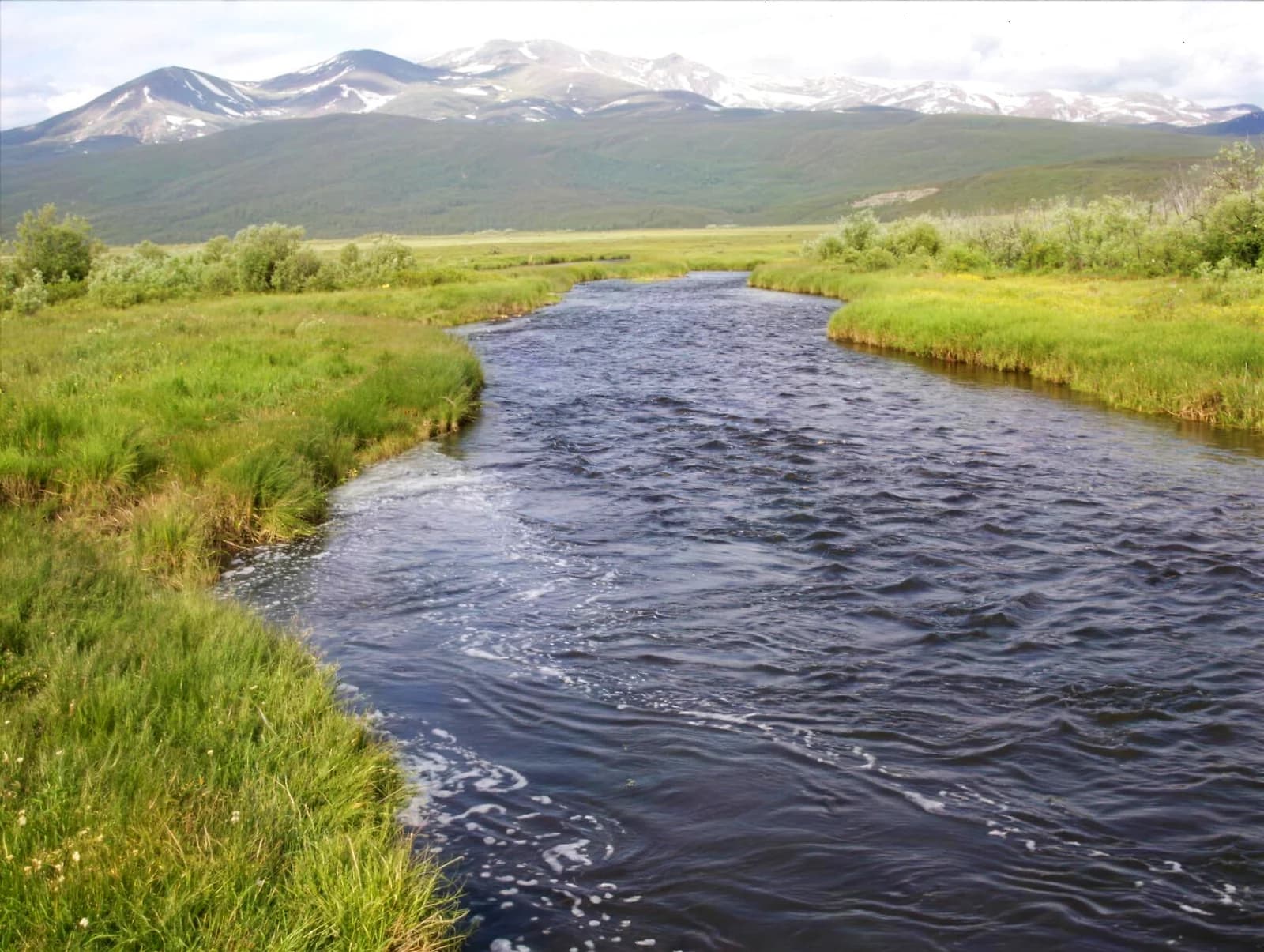 Lake Fork - Arkansas River — private fly-fishing water in Lake County, Colorado