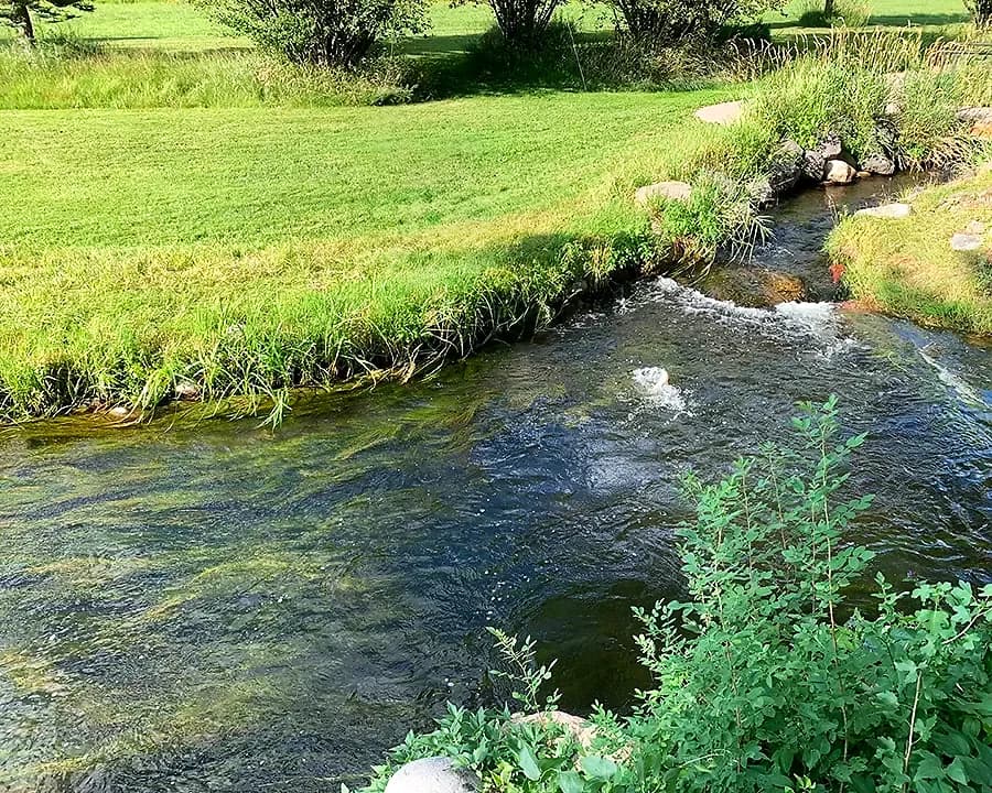 Gianinetti Spring – Carbondale — private fly-fishing water in Roaring Fork Valley, Colorado